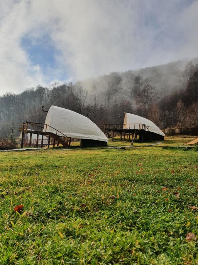 Hotel Sunrise Glamping Retreat Galesu Exteriér fotografie